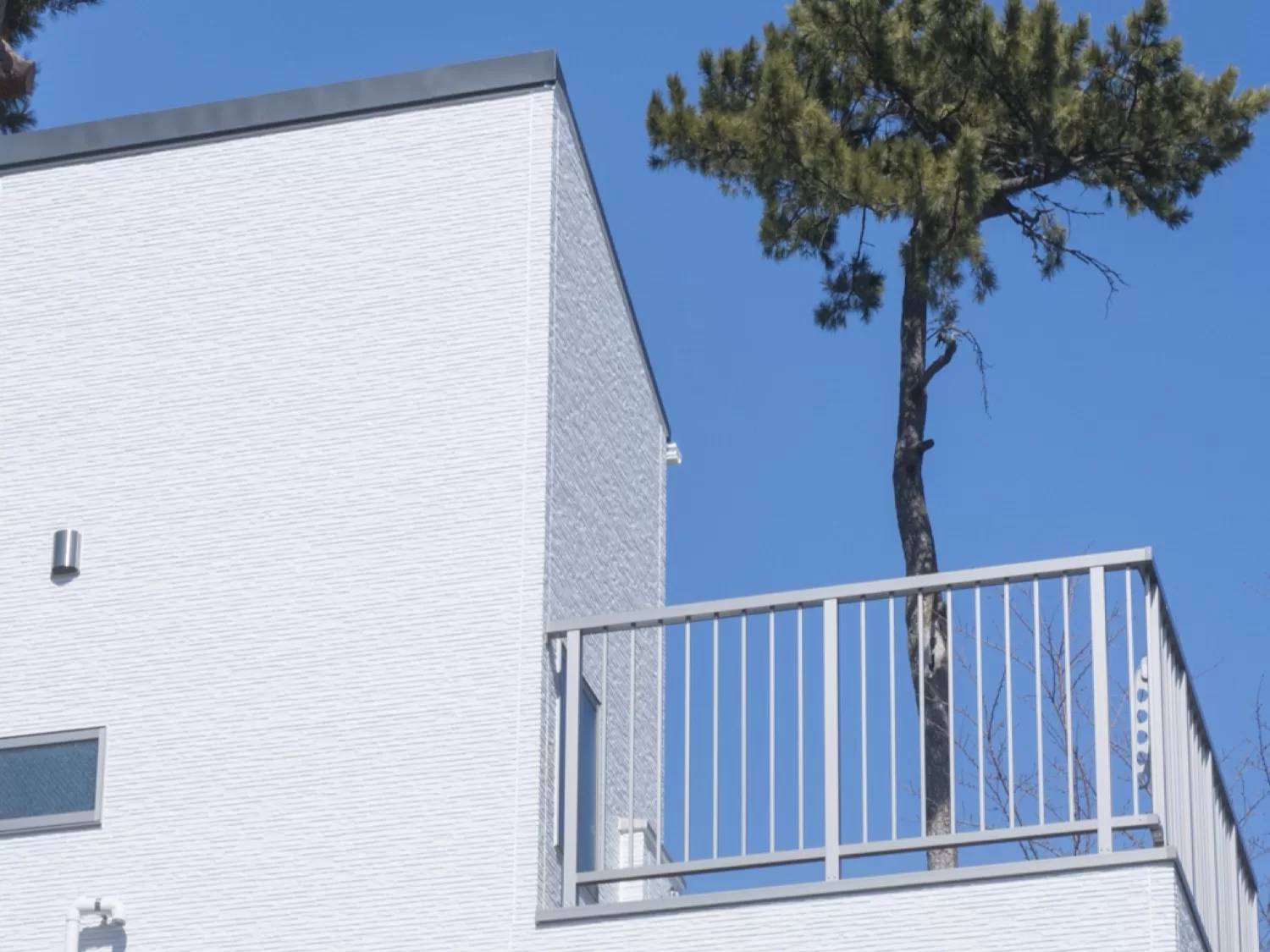 玄関と反対側の上部